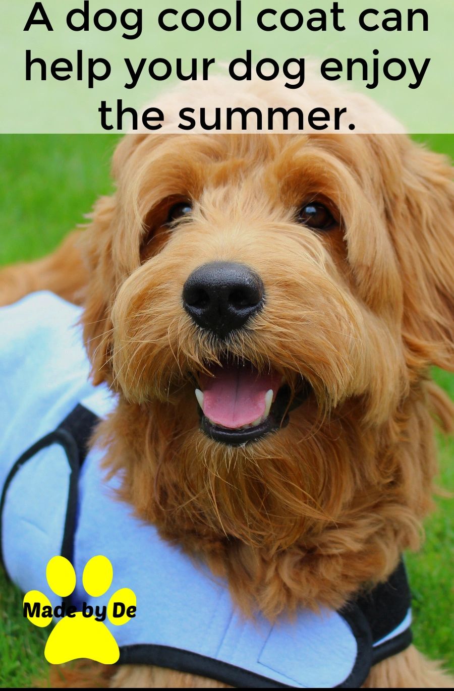Why should you choose a dog cool coat from Made by De